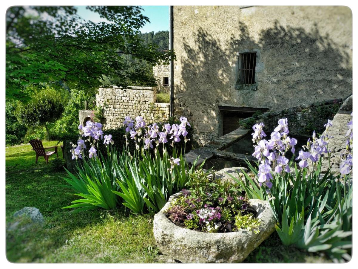 Oracines Du Calme Maison Helianthy Sanilhac  Exterior photo